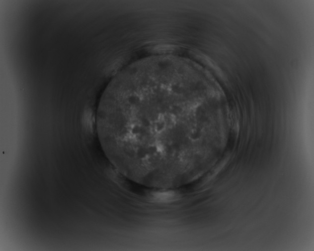 X0000099990669200806061545