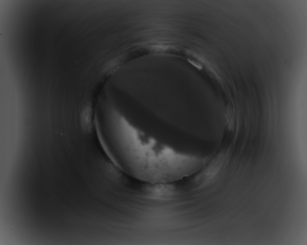 X0000099990670200806061545