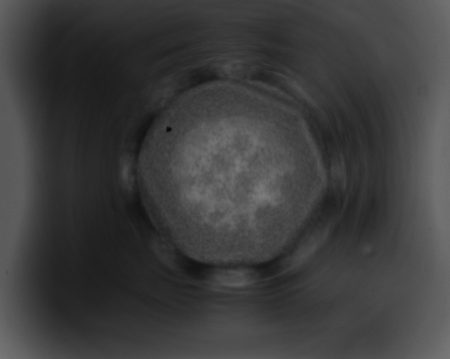 X0000099990671200806061545