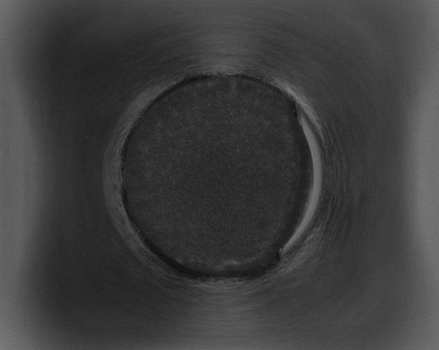 X0000099990673200806061545