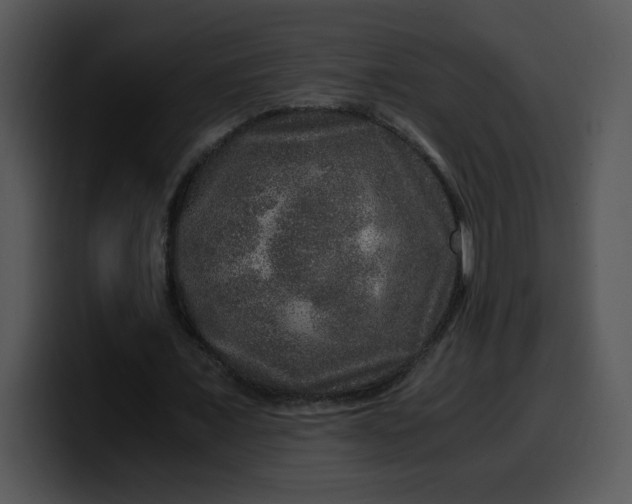 X0000099990675200806061545