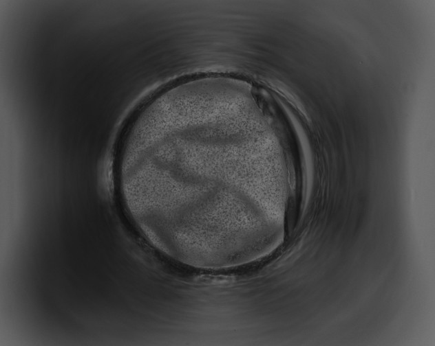 X0000099990676200806061545