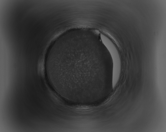 X0000099990677200806061545