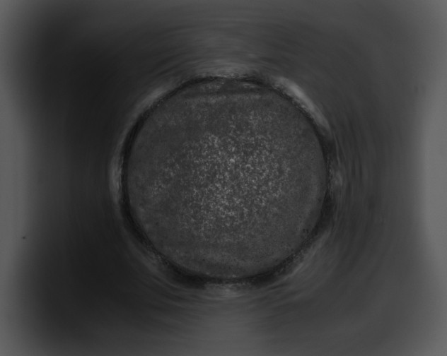 X0000099990679200806061545