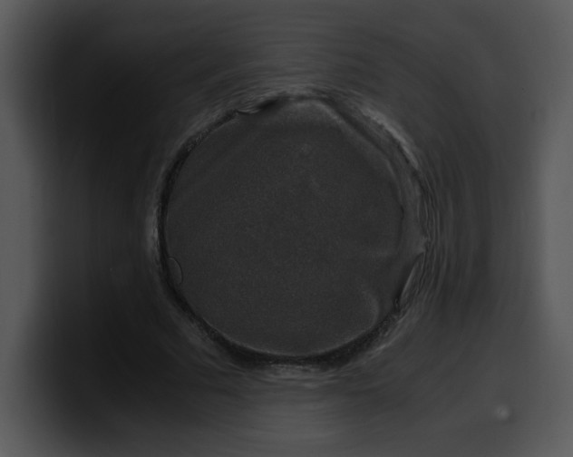 X0000099990681200806061545