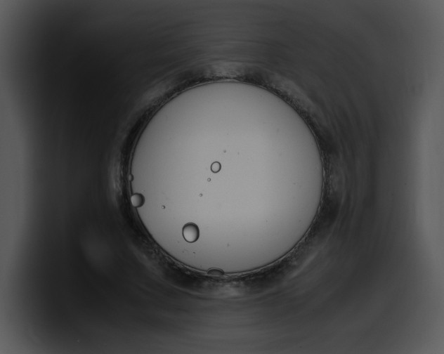 X0000099990683200806061545