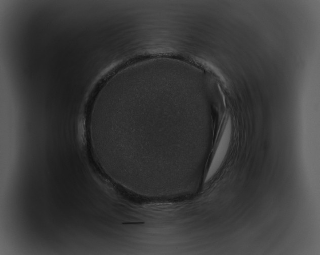 X0000099990684200806061545