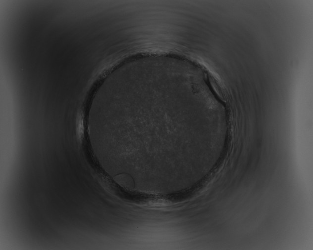 X0000099990685200806061545