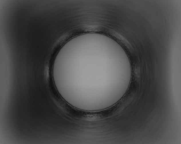 X0000099990686200806061545