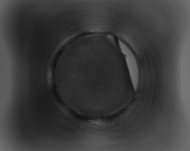 X0000099990688200806061545