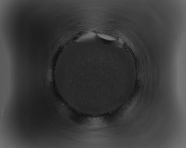 X0000099990689200806061545