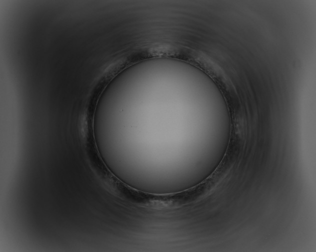 X0000099990690200806061545