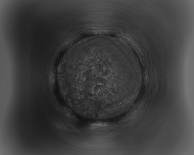 X0000099990691200806061544