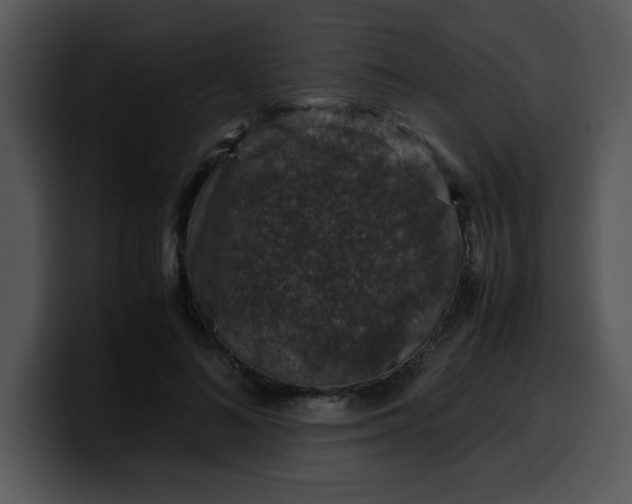 X0000099990692200806061544