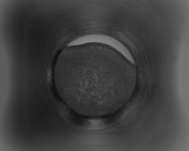 X0000099990693200806061544