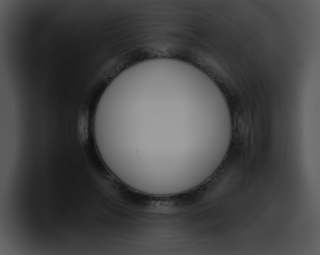 X0000099990694200806061544