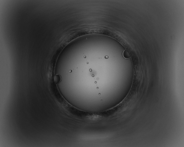 X0000099990695200806061544