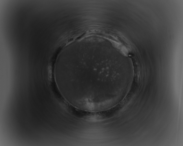 X0000099990696200806061544