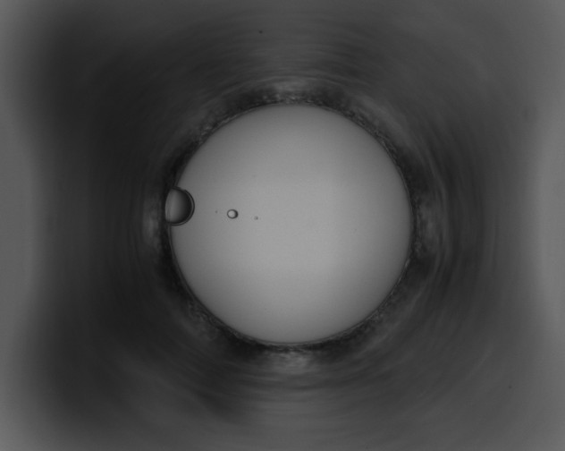 X0000099990698200806061544