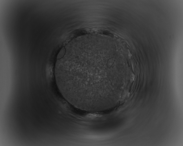 X0000099990699200806061544