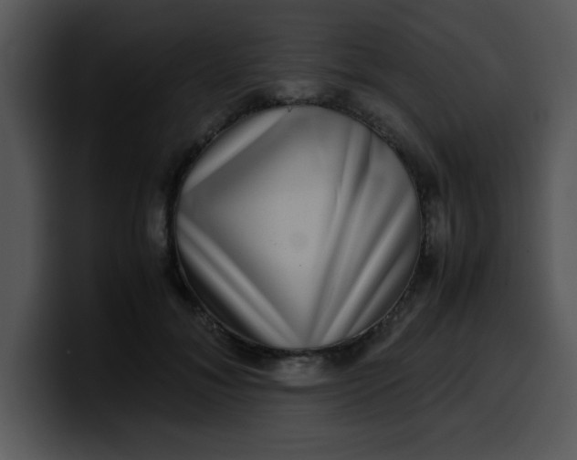 X0000099990700200806061544