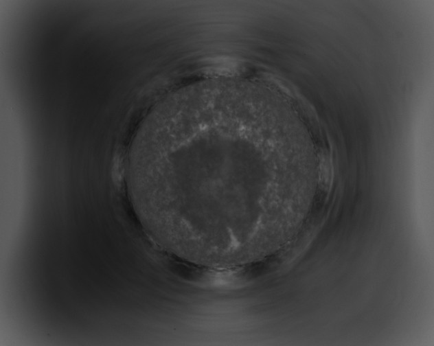 X0000099990701200806061544