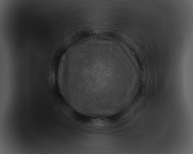 X0000099990703200806061544