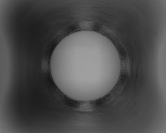 X0000099990705200806061544