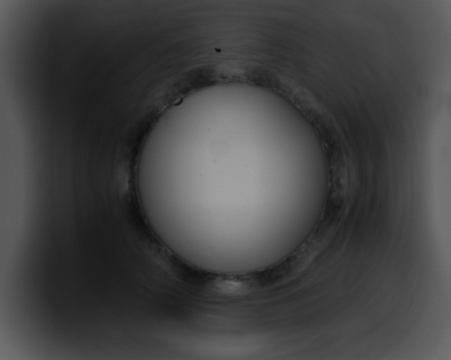 X0000099990706200806061544