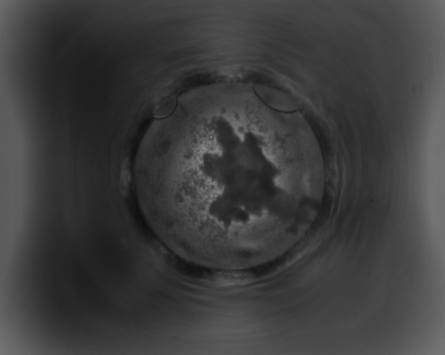 X0000099990707200806061544