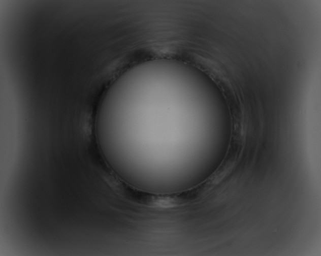 X0000099990710200806061544