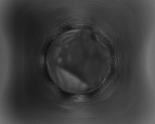 X0000099990711200806061544