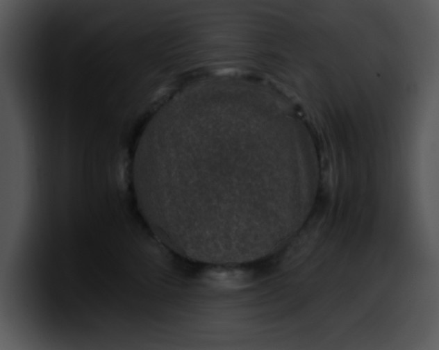 X0000099990712200806061544