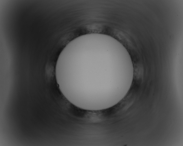 X0000099990713200806061544