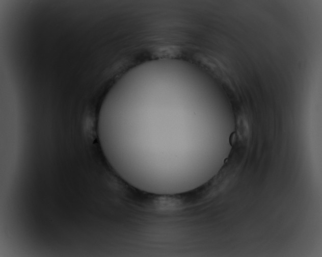 X0000099990714200806061544