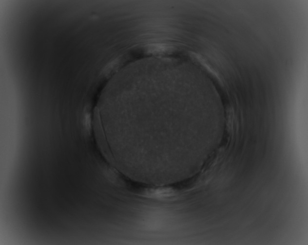 X0000099990716200806061544