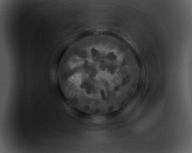 X0000099990719200806061544