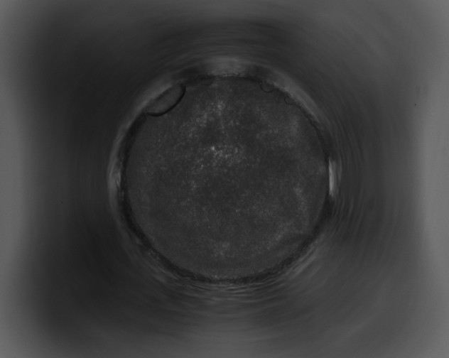 X0000099990723200806061544