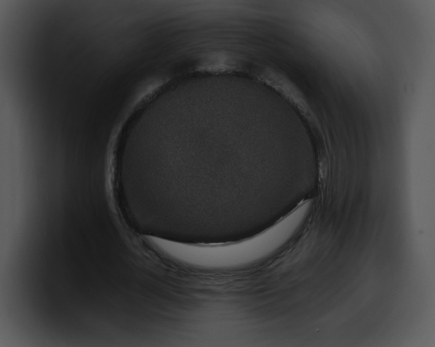 X0000099990724200806061544