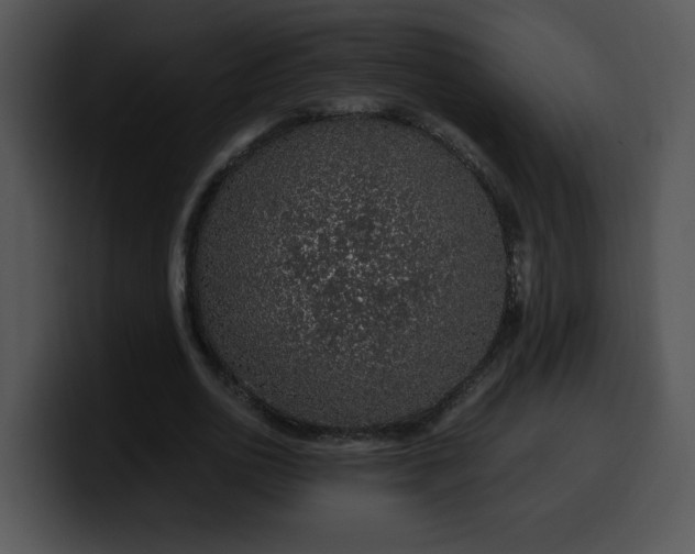 X0000099990726200806061544