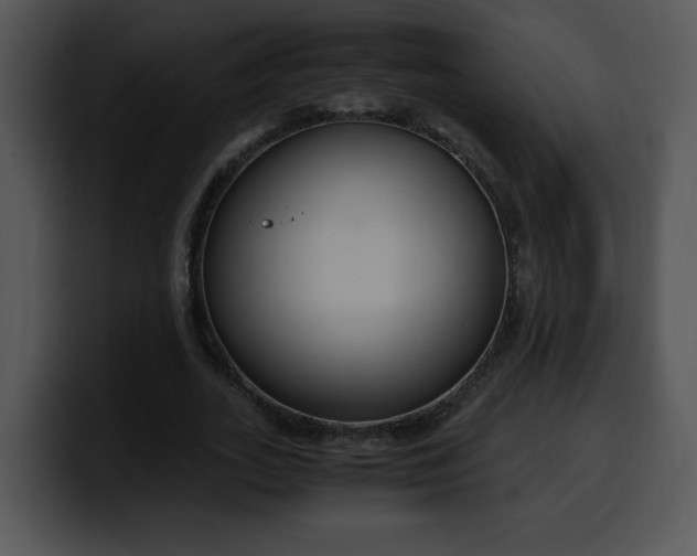 X0000099990727200806061544