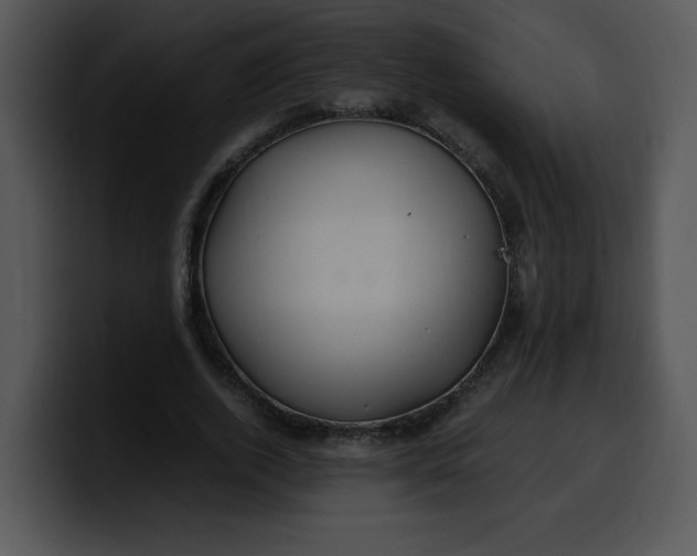 X0000099990728200806061544