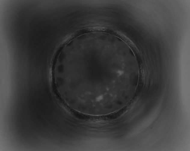 X0000099990729200806061544