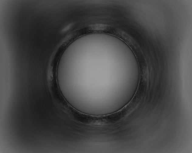 X0000099990731200806061544