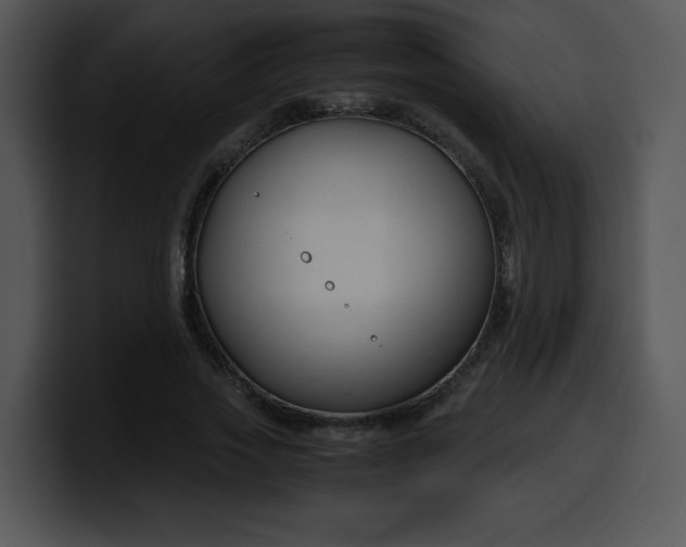 X0000099990733200806061544