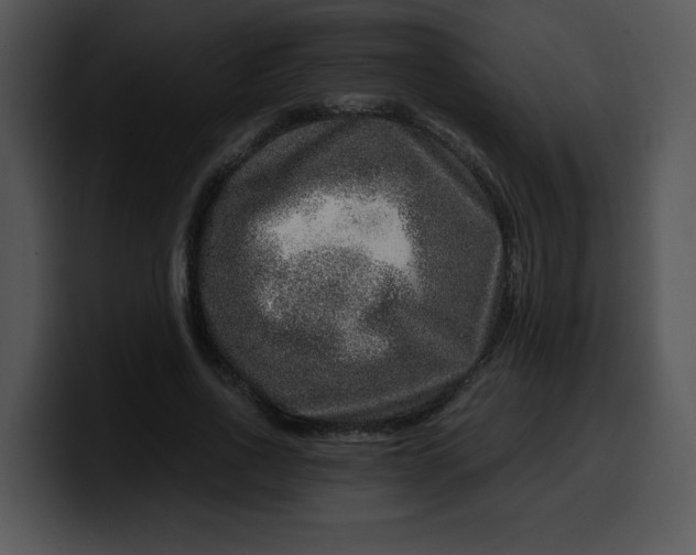 X0000099990734200806061544