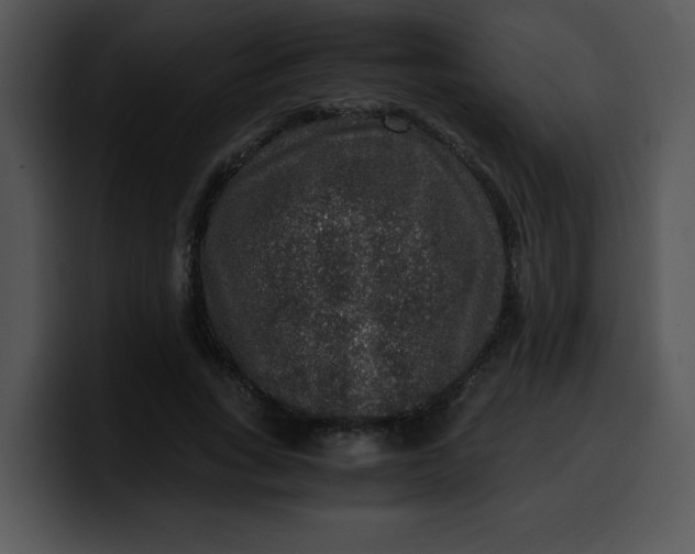 X0000099990735200806061544