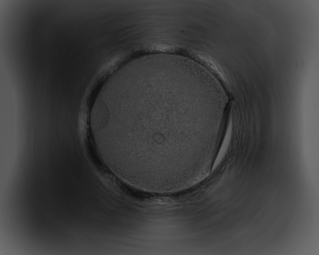 X0000099990736200806061544