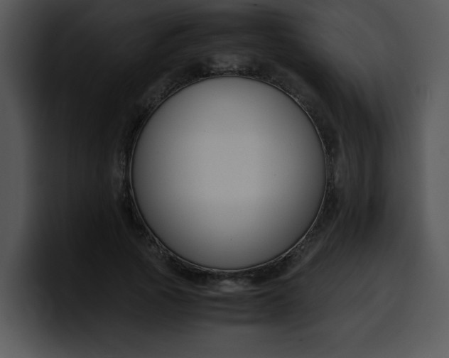 X0000099990737200806061544