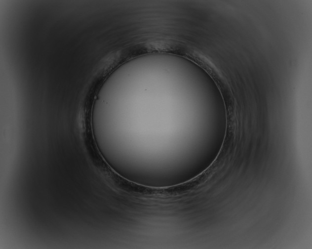 X0000099990738200806061544